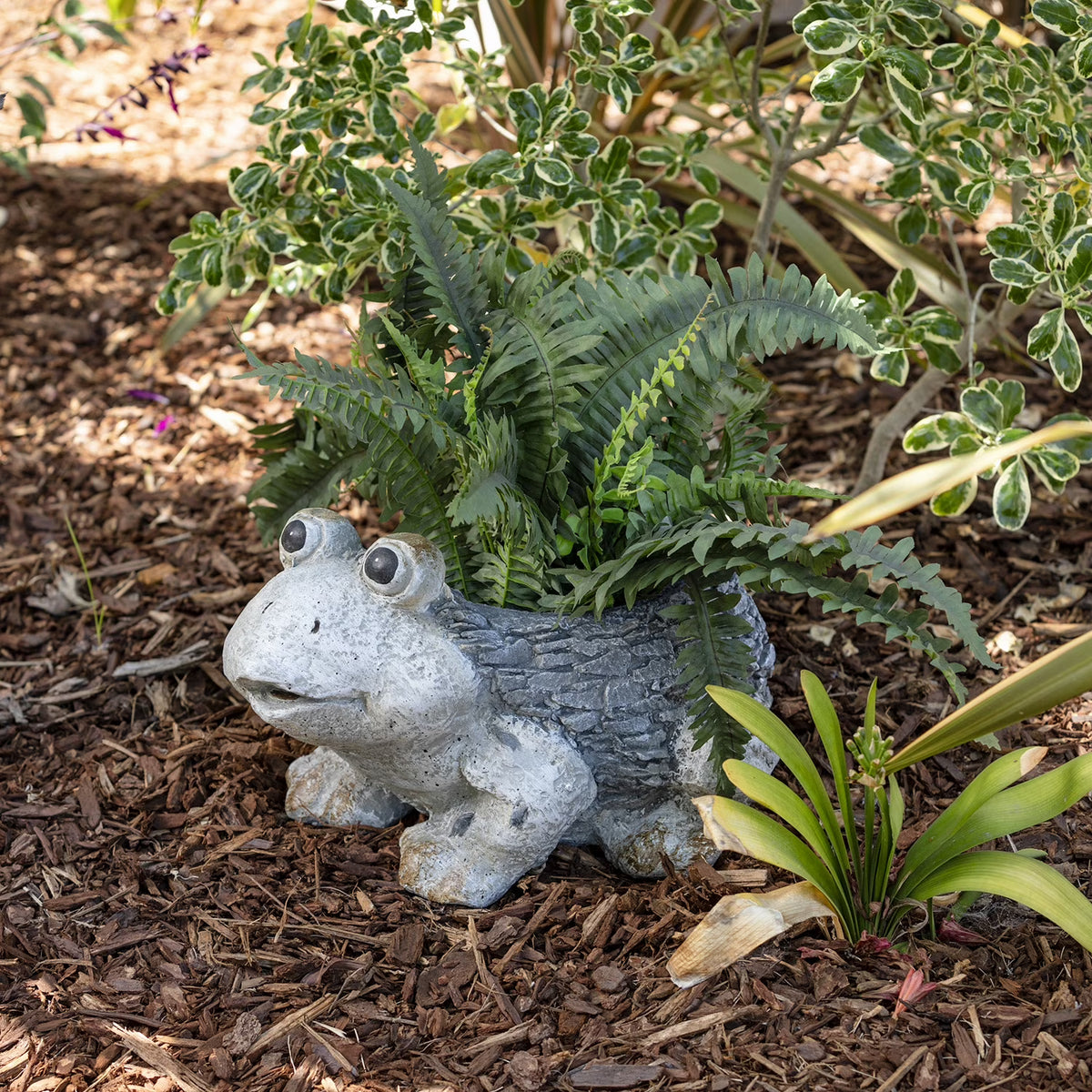 Ceramic Frog Planter, Gray Y589835