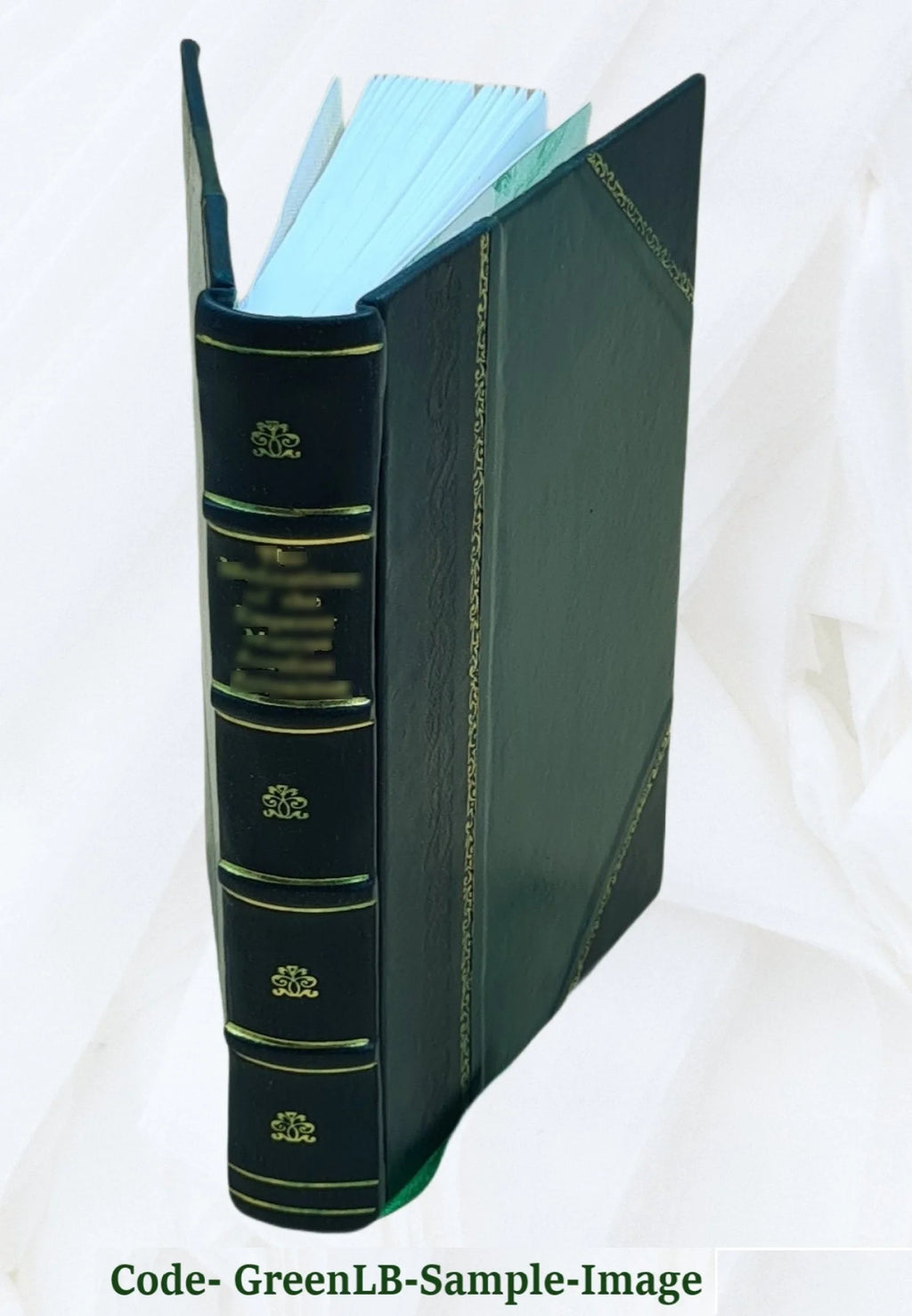 Notes of Travel, Recollections of Majunga, Zanzibar, Muscat, Aden, Mocha, and other Eastern Ports, 1854, Leather Bound L851