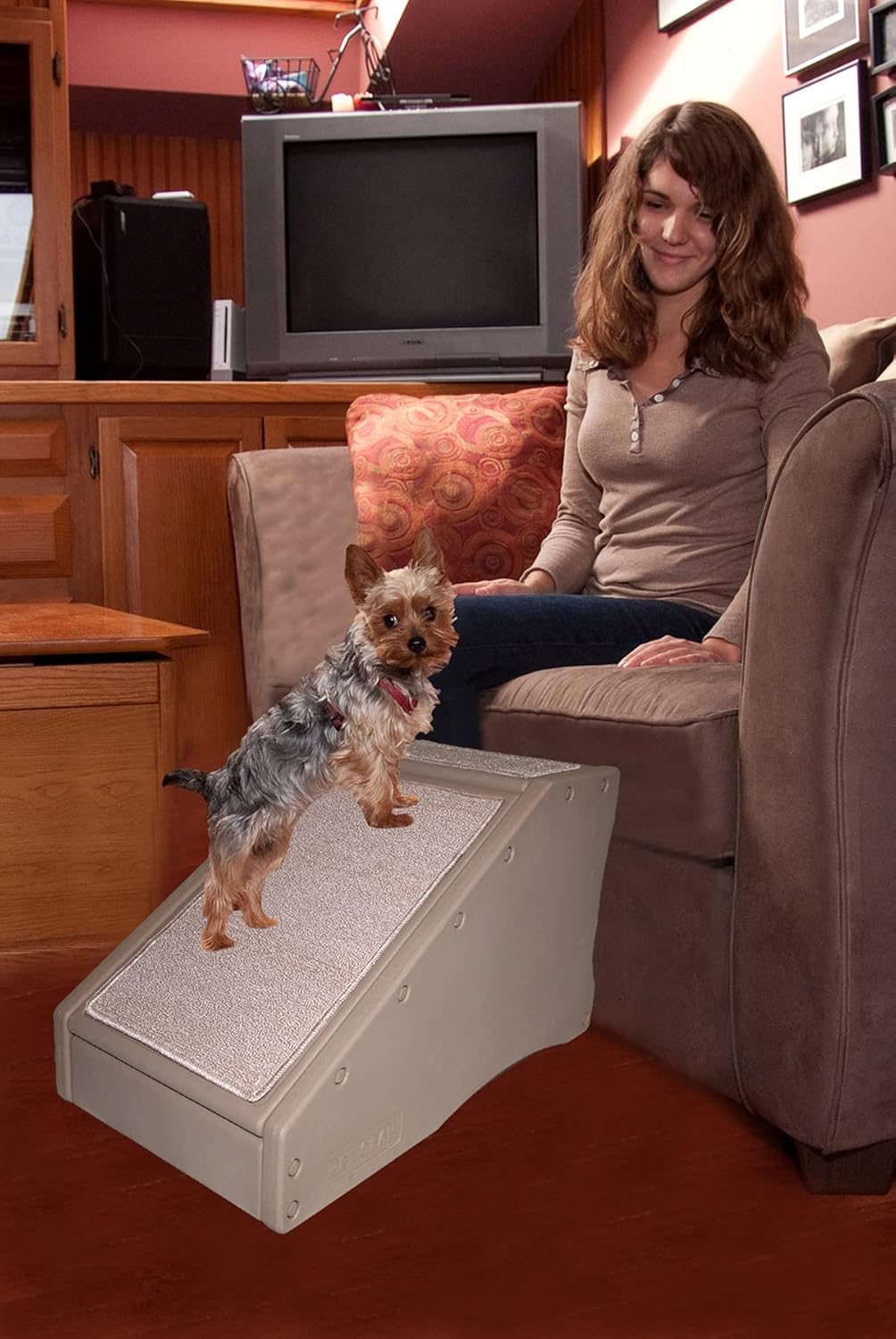 Stair and Ramp Combination for Dogs/Cats, Lightweight, Pack of 2 B906