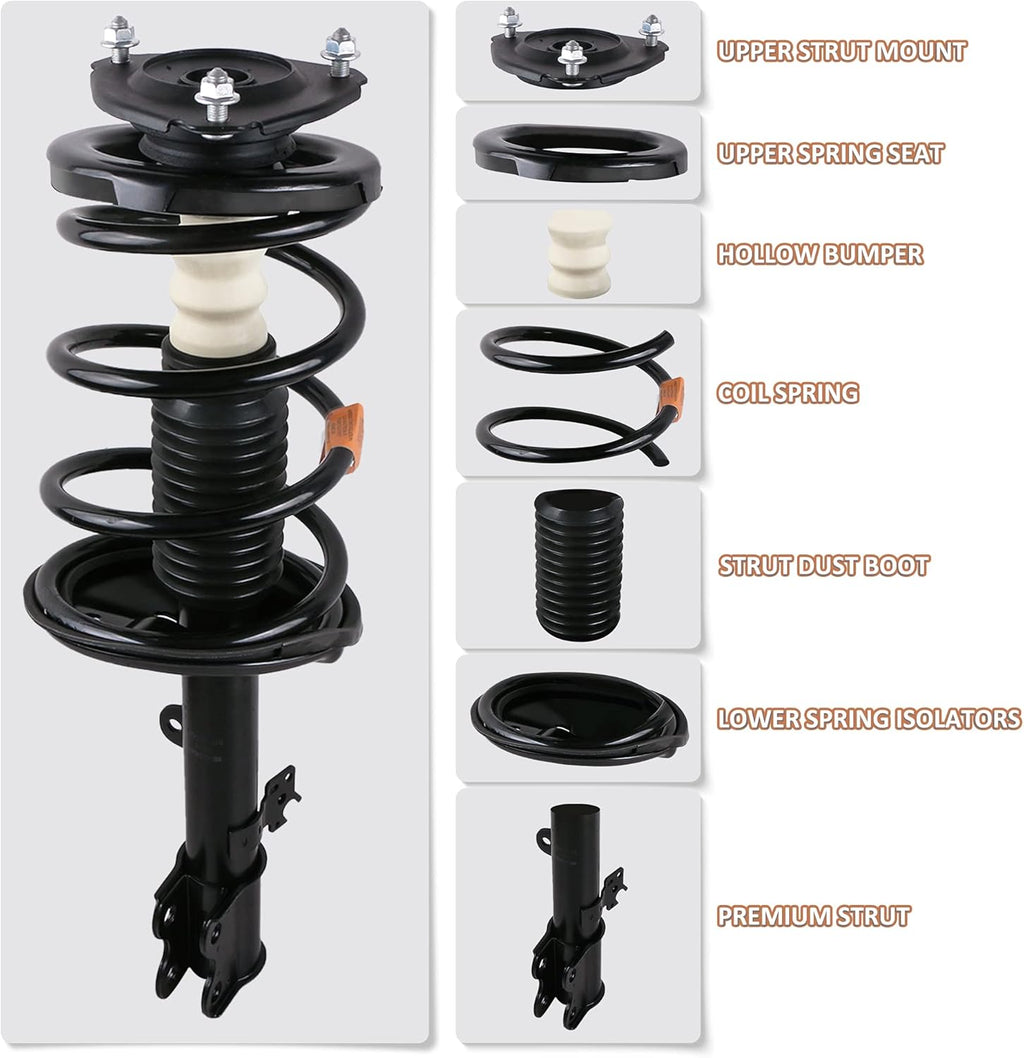 Rear Complete Strut Spring Shock Absorber W204404