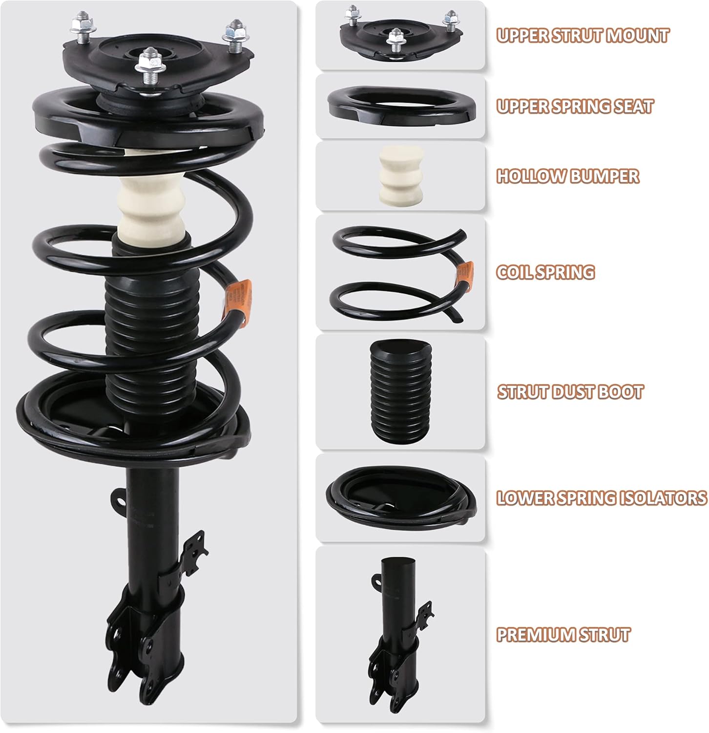 Rear Complete Strut Spring Shock Absorber W204404