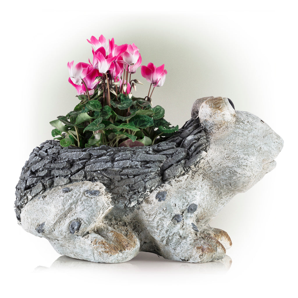 Ceramic Frog Planter, Gray Y589835