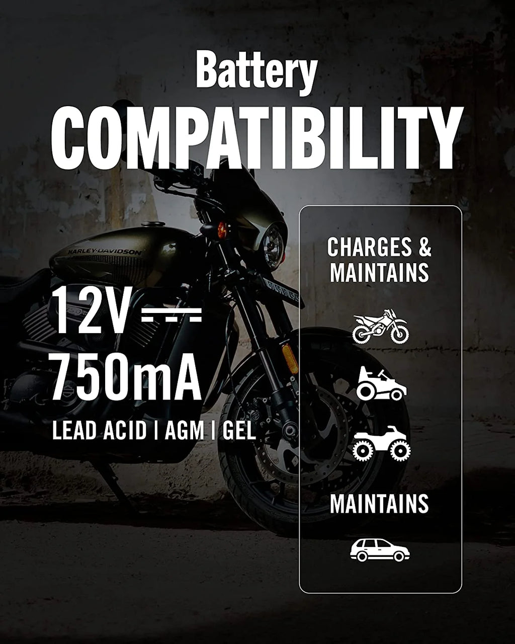 12V 750mA Automatic Battery Charger and Maintainer U584181