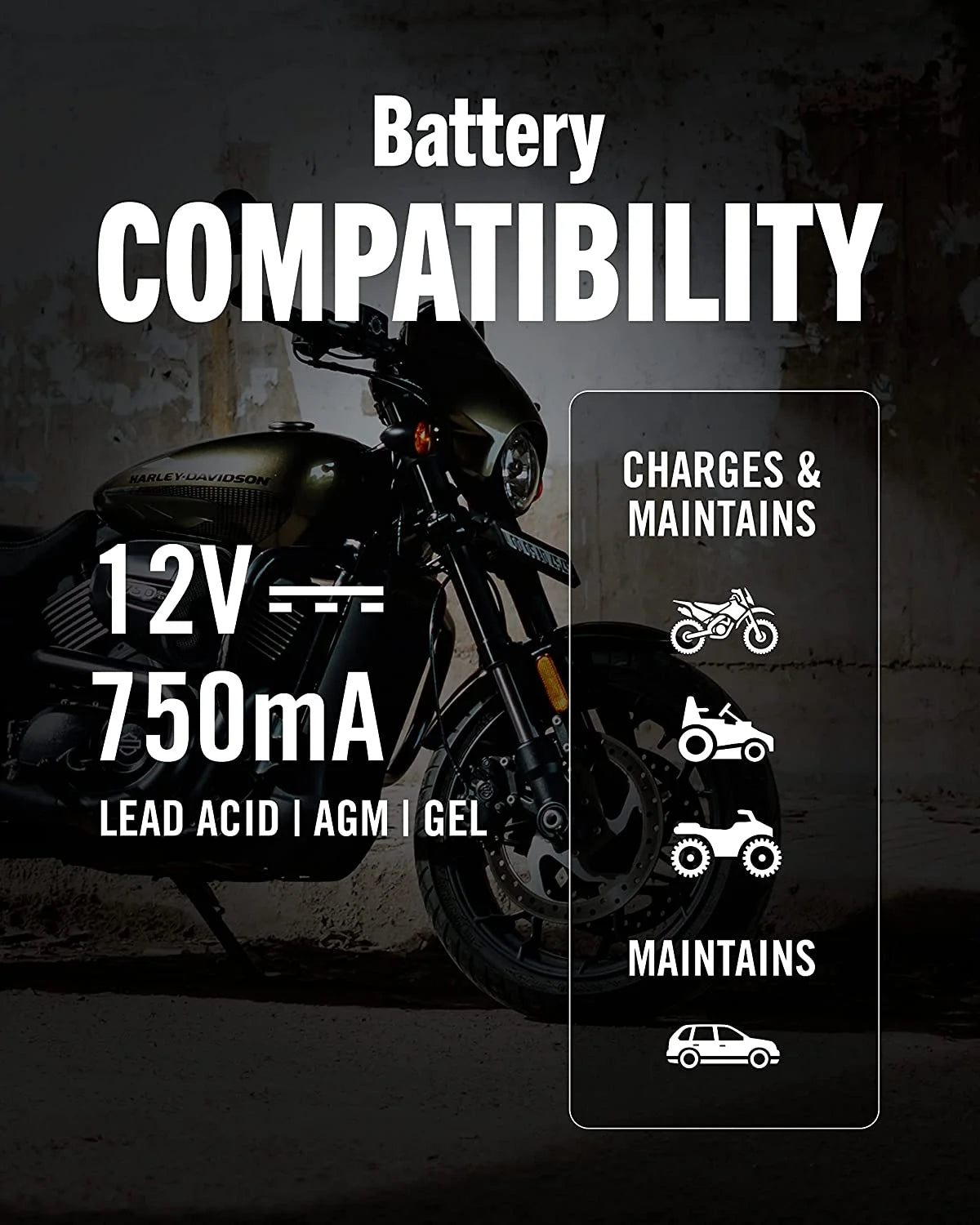 12V 750mA Automatic Battery Charger and Maintainer U584181