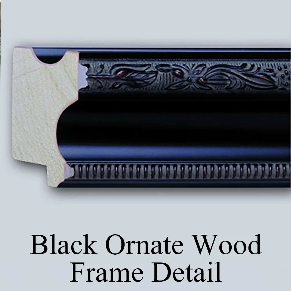 18x24 Black Ornate Framed Double Matted Art Print Z44352