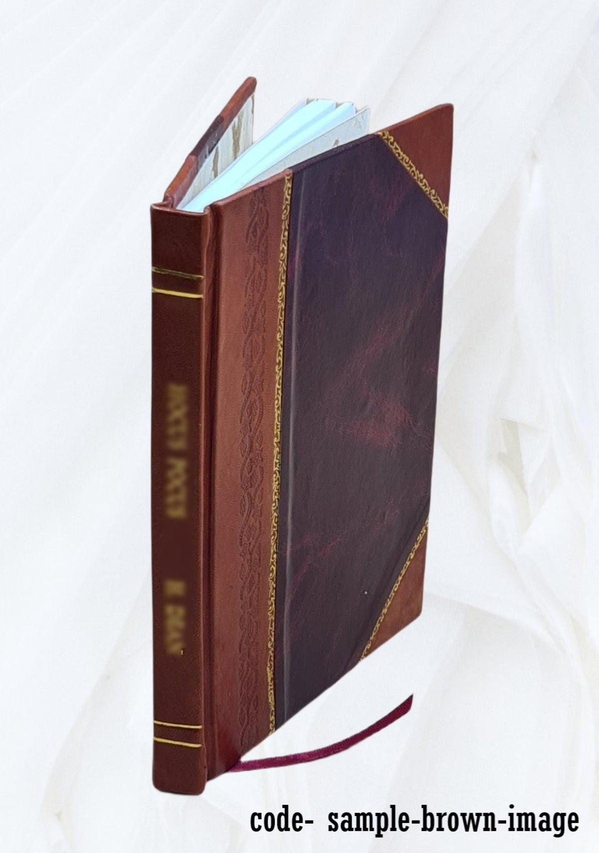 Whales and Dolphins Species Synopsis, Leather Bound H7903