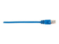 Blue Cat 6 UTP 4 ft Patch Cable T15897