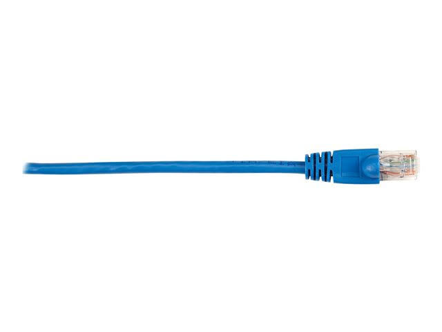 Blue Cat 6 UTP 4 ft Patch Cable T15897