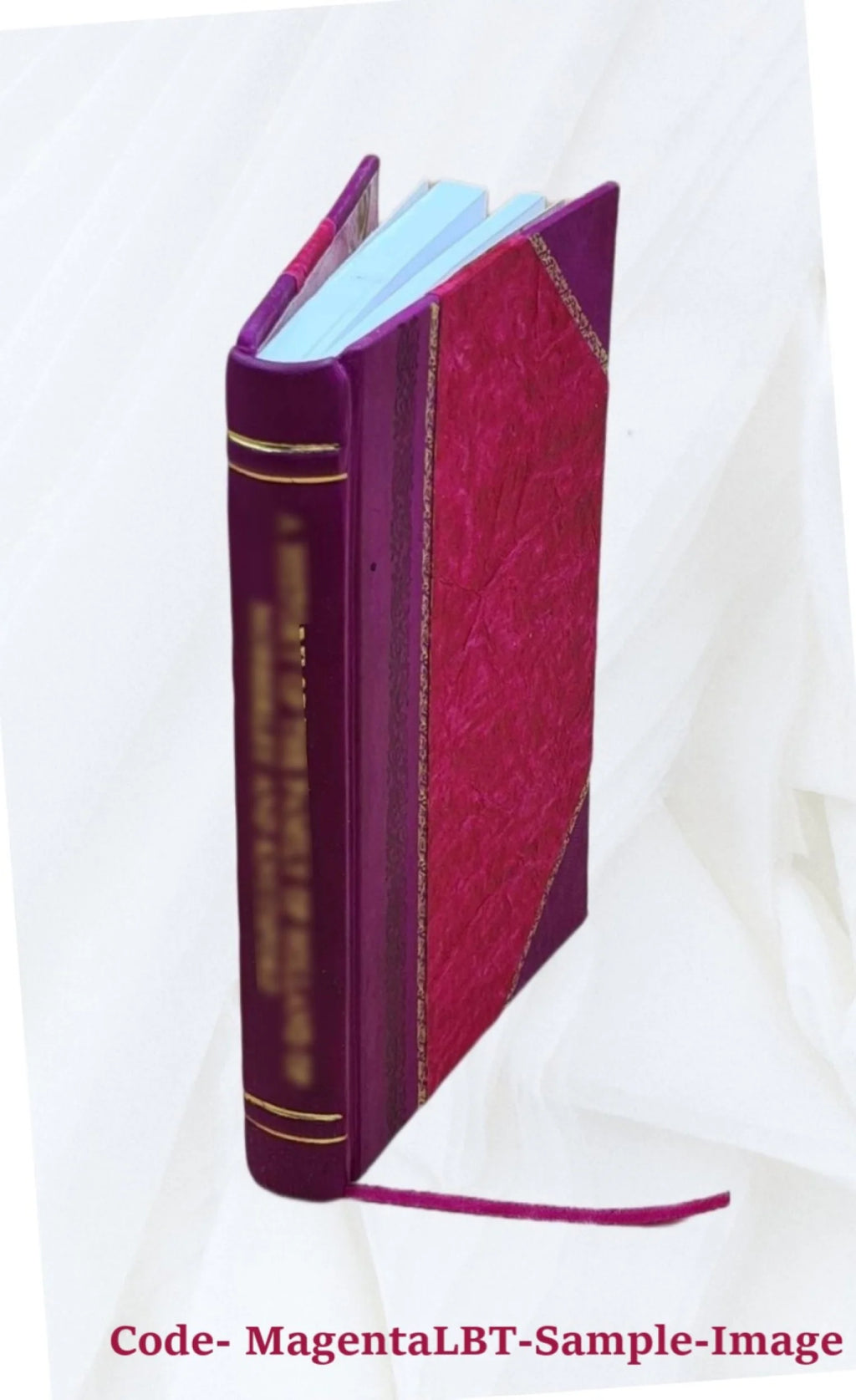 Whales and Dolphins Species Synopsis, Leather Bound H7903
