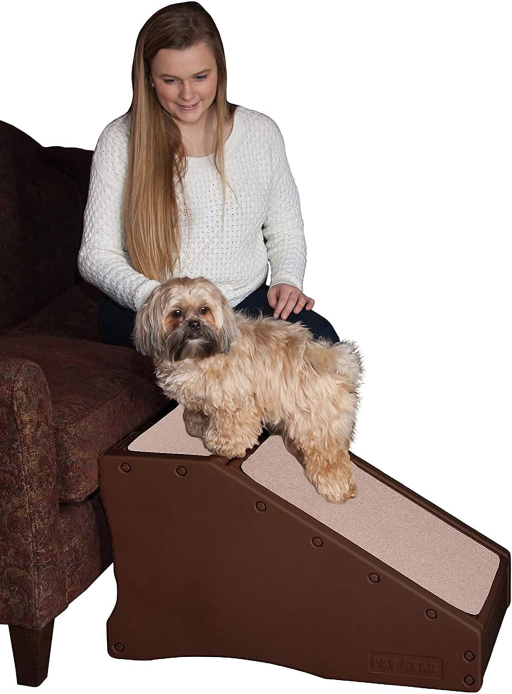 Stair and Ramp Combination for Dogs/Cats, Lightweight, Pack of 2 B906