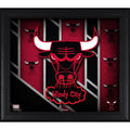 Framed 15x22 x 17x22 Hardwood Classic Logo Collage S487