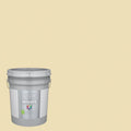 Interior Paint (5-Gallon) I10695