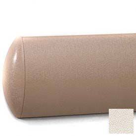 Medium Pumice I69793