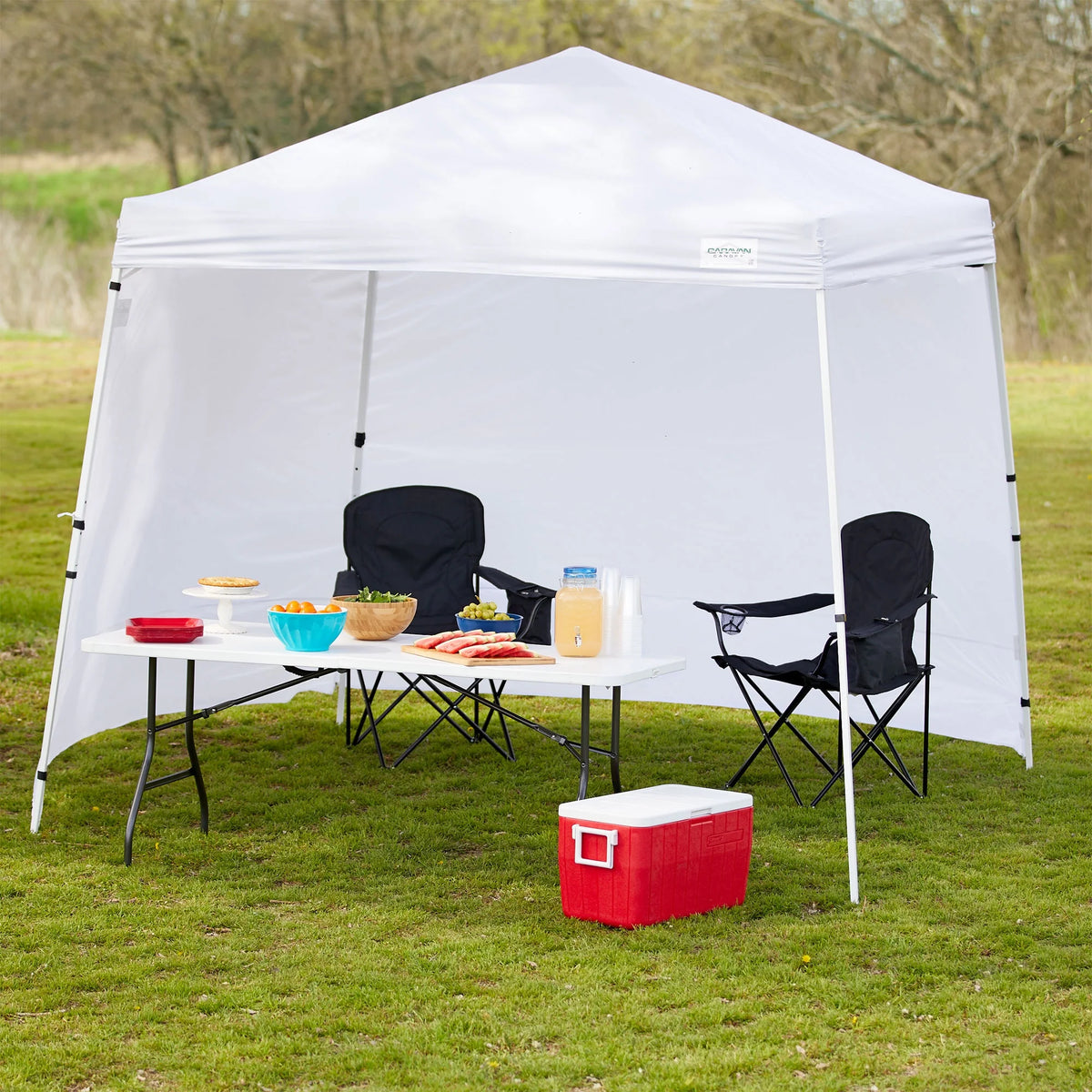10x10' Instant Canopy Kit with 2 Slant Leg Sidewall M20692