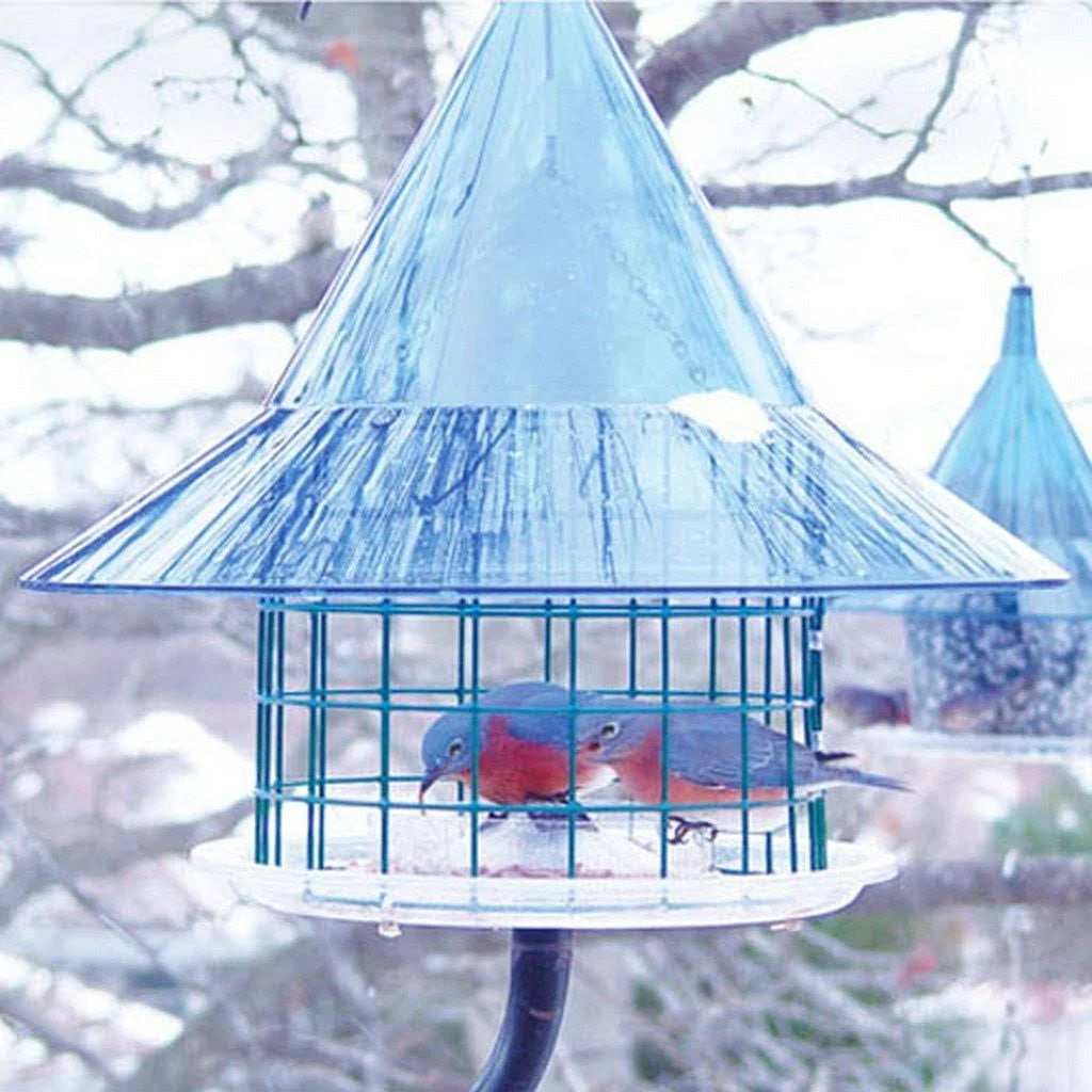 Bluebird Feeder R44059
