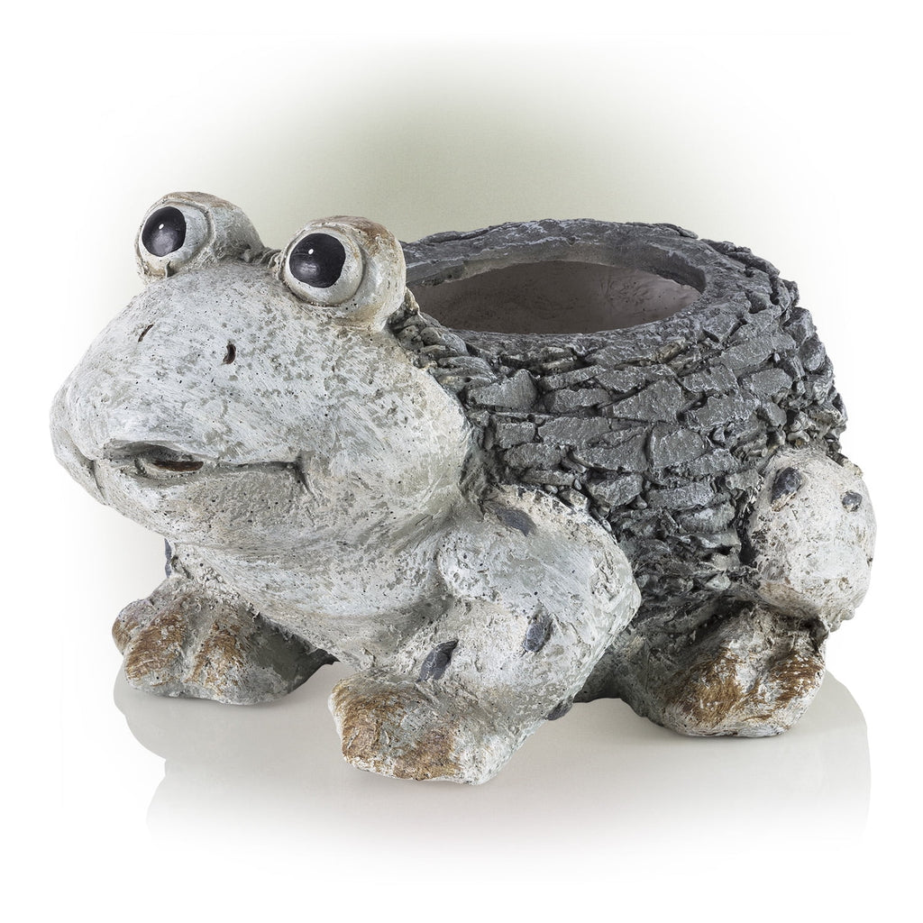 Ceramic Frog Planter, Gray Y589835