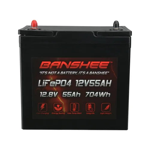 12V 55AH Lithium LiFePO4 Deep Cycle Battery 4 Pack R958