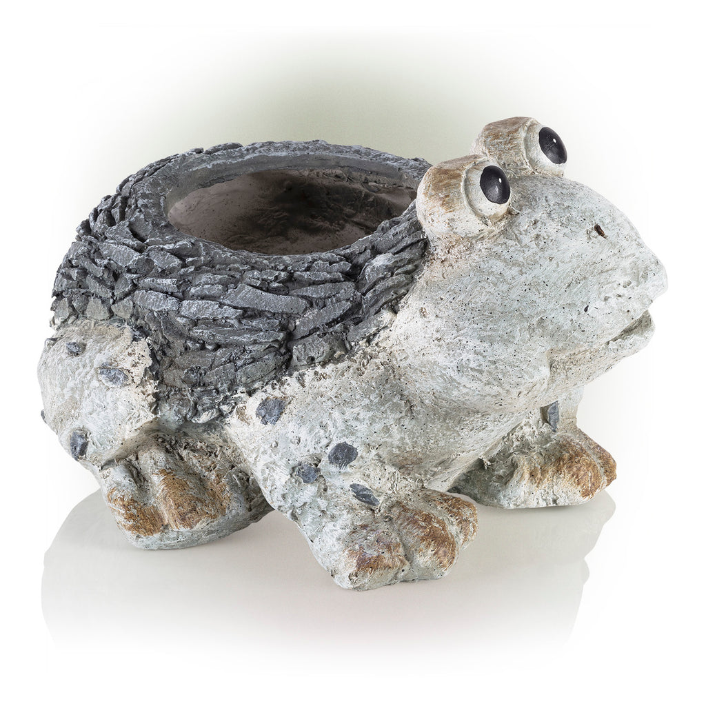 Ceramic Frog Planter, Gray Y589835