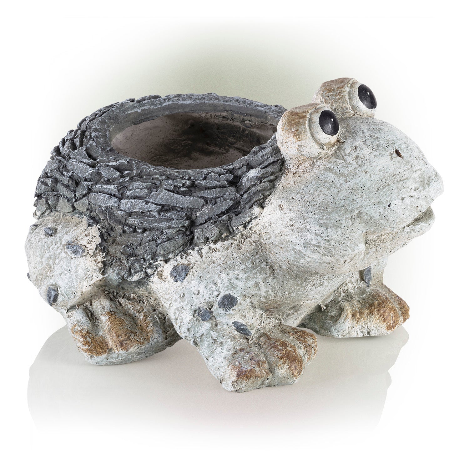 Ceramic Frog Planter, Gray Y589835