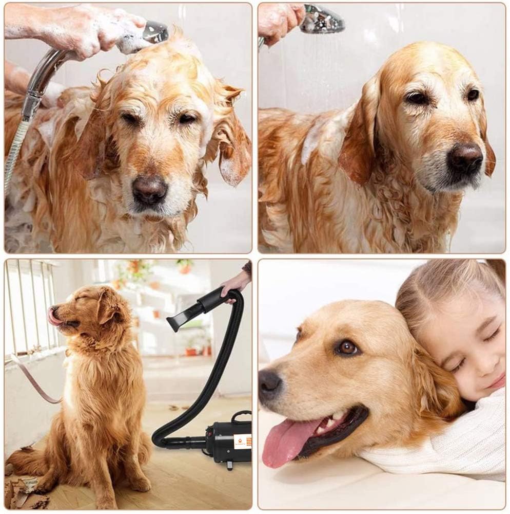 Dog Blow Dryer 4.5HP 2800W High Velocity 2 Motor B3703