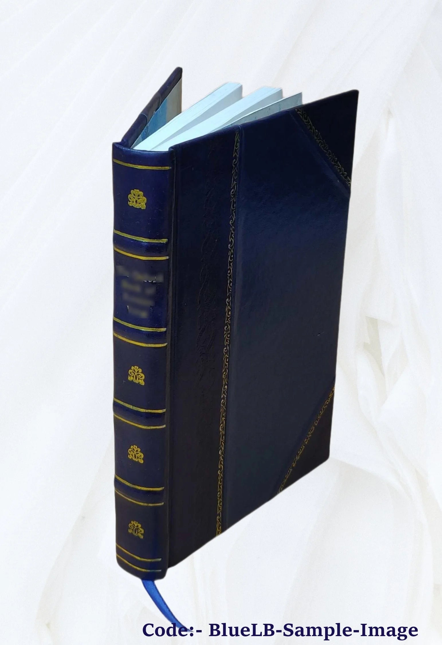 Leather Bound Book Q541654