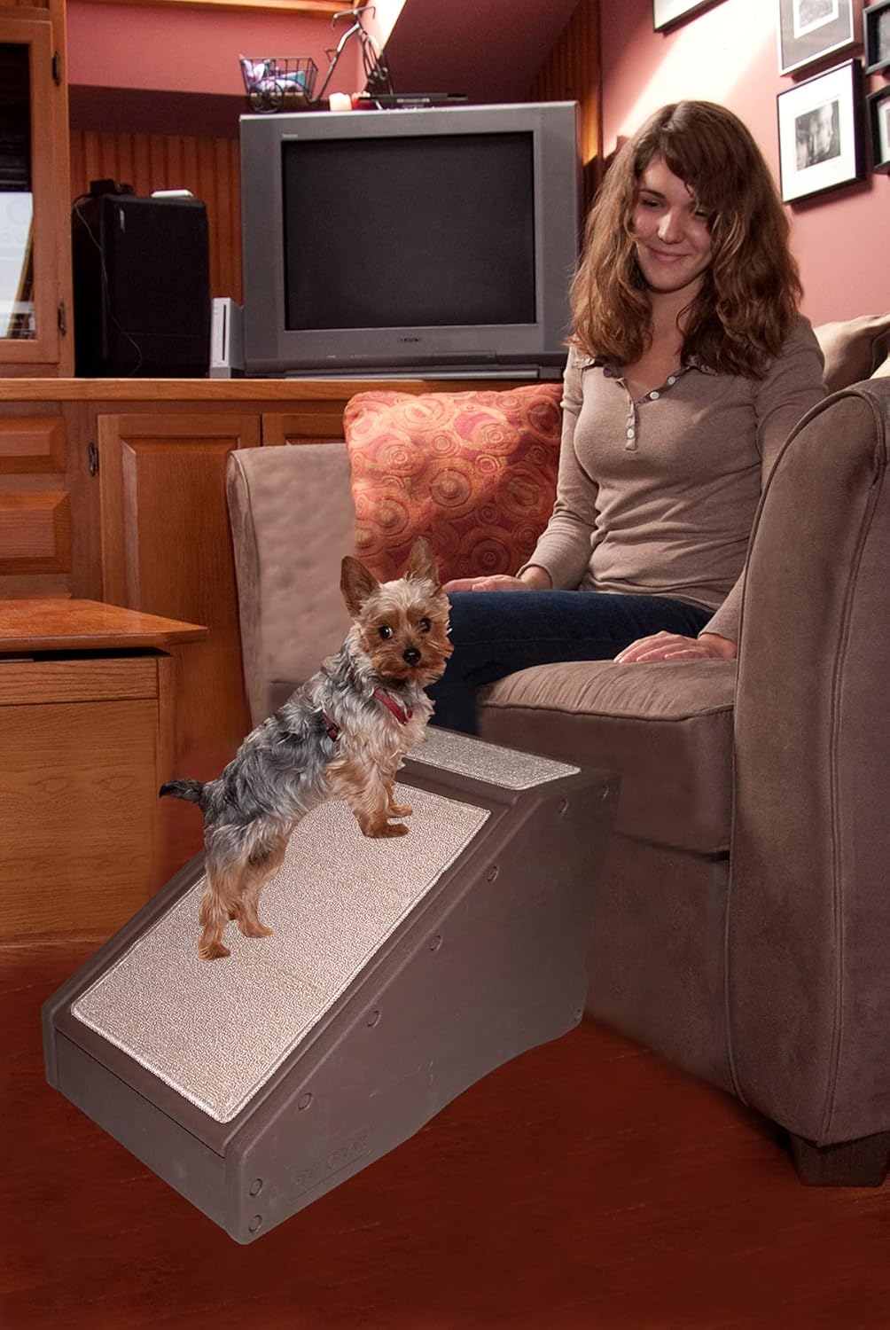 Stair and Ramp Combination for Dogs/Cats, Lightweight, Pack of 2 B906