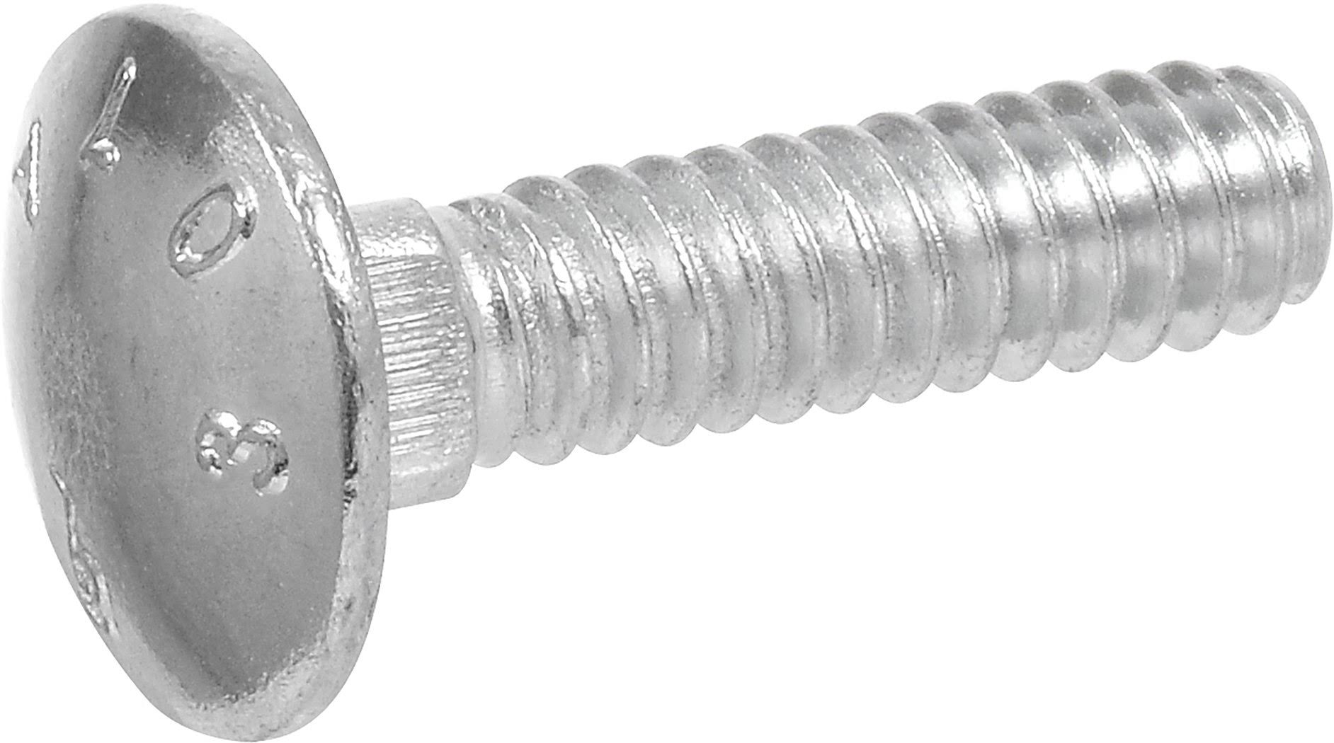 3/4-Inch x 12-Inch Carriage Bolt, 20-Pack Z24403