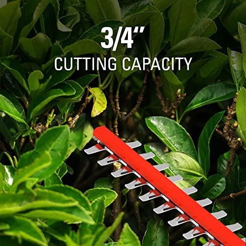40V 24" Cordless Hedge Trimmer with 3.0Ah Battery and Charger E1289