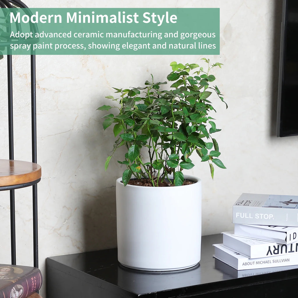 Ceramic Plant Pots with Drainage Hole (White) I536815