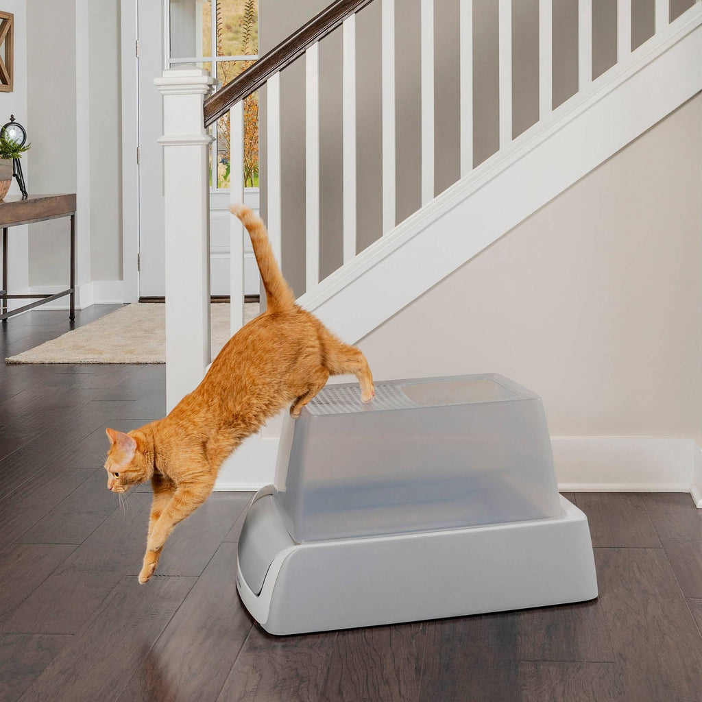 Self-Cleaning Litter Box K79539
