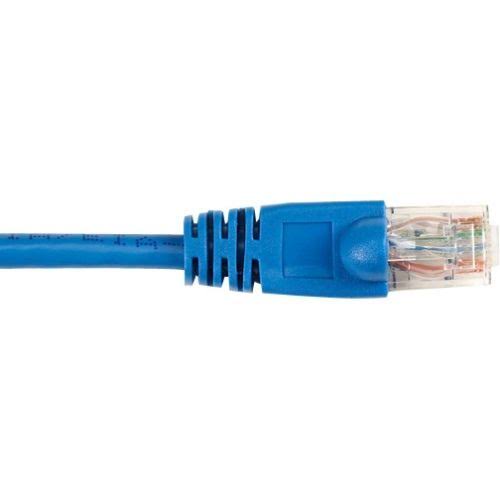Blue Cat 6 UTP 4 ft Patch Cable T15897