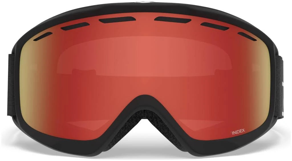 Black Snow Goggles D490