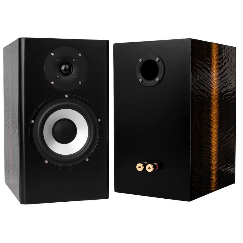 Studio Monitor Speaker Kit with Knock-Down Cabinet I94875
