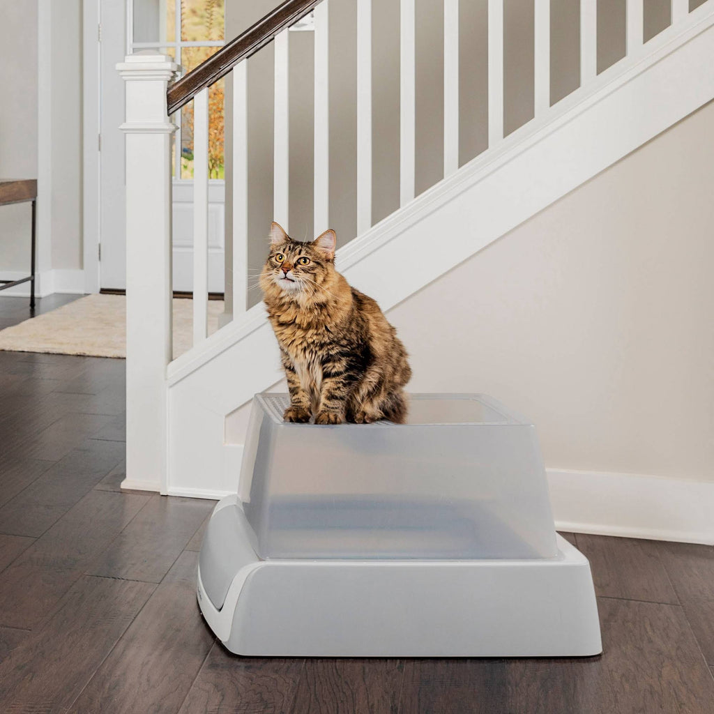 Self-Cleaning Litter Box K79539