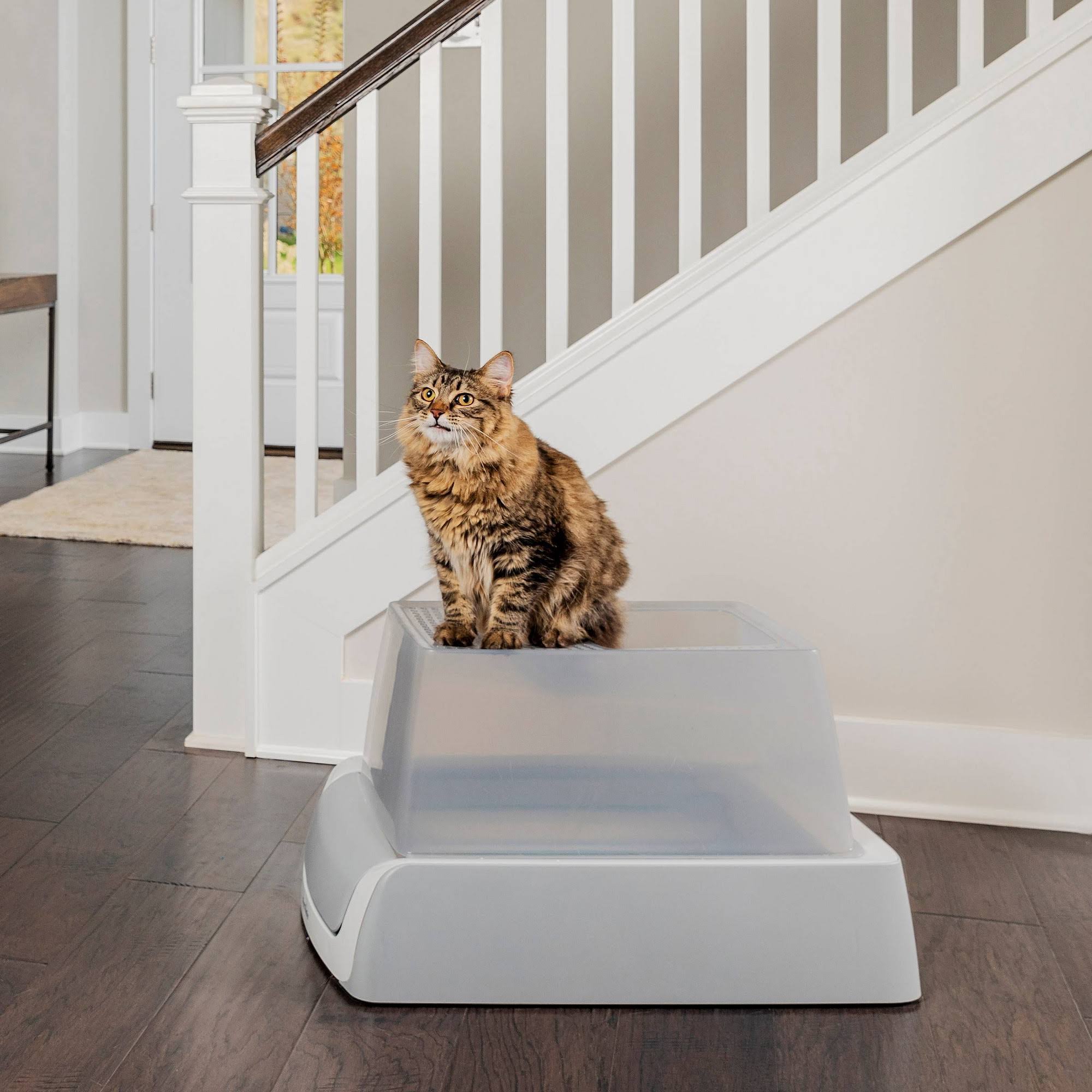 Self-Cleaning Litter Box K79539