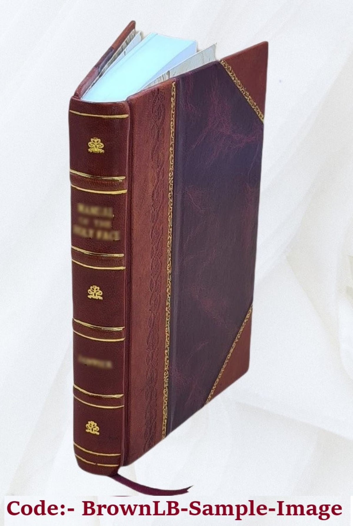 Leather Bound Book Q541654