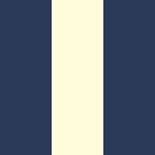 Navy Blue Vertical Stripe Rectangle Pet Bed R685432