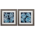 Distressed Wood Toned Frame Marine Shells (Set of 2) K16154