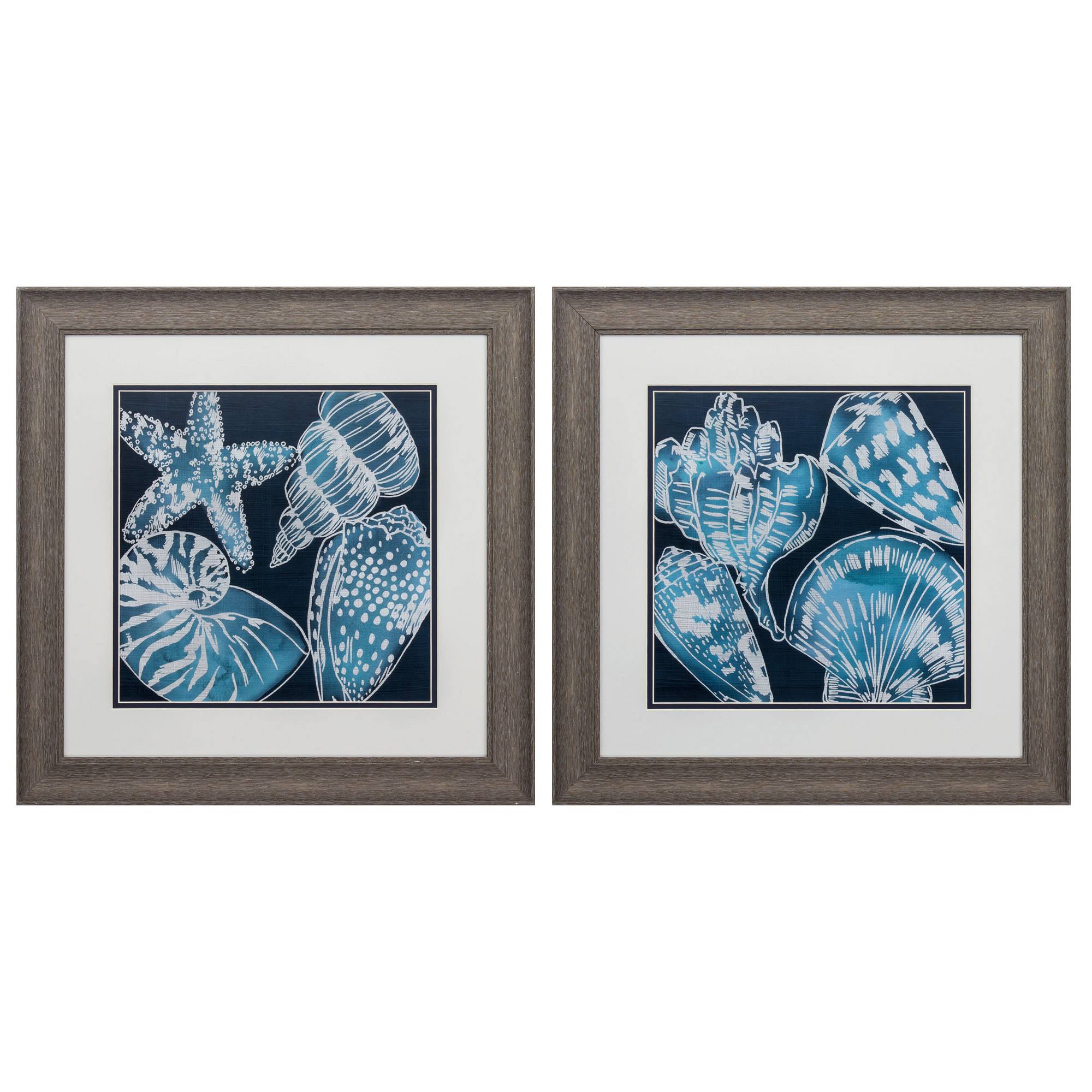 Distressed Wood Toned Frame Marine Shells (Set of 2) K16154