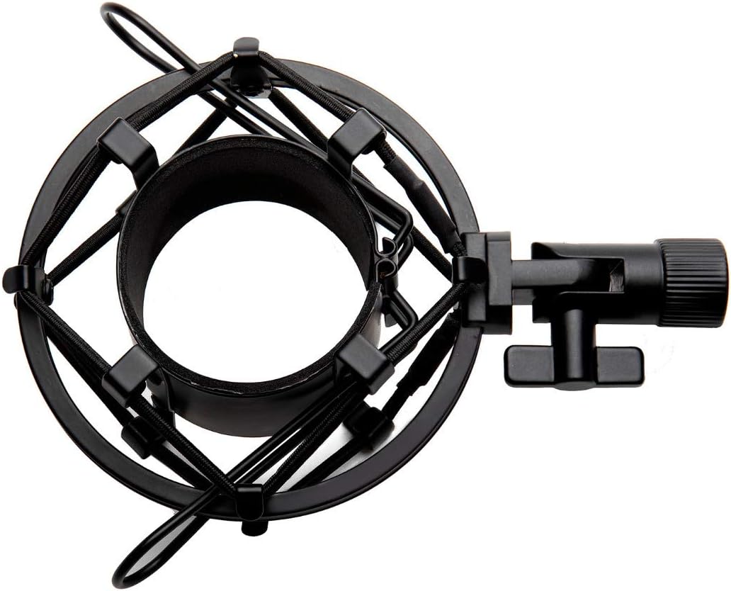 USB Microphone with Boom Arm, Shock Mount and Pop Filter (5 Items) L200225