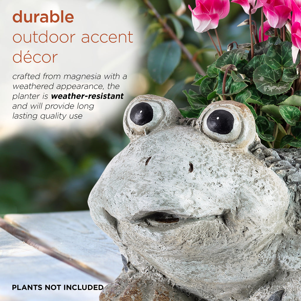 Ceramic Frog Planter, Gray Y589835