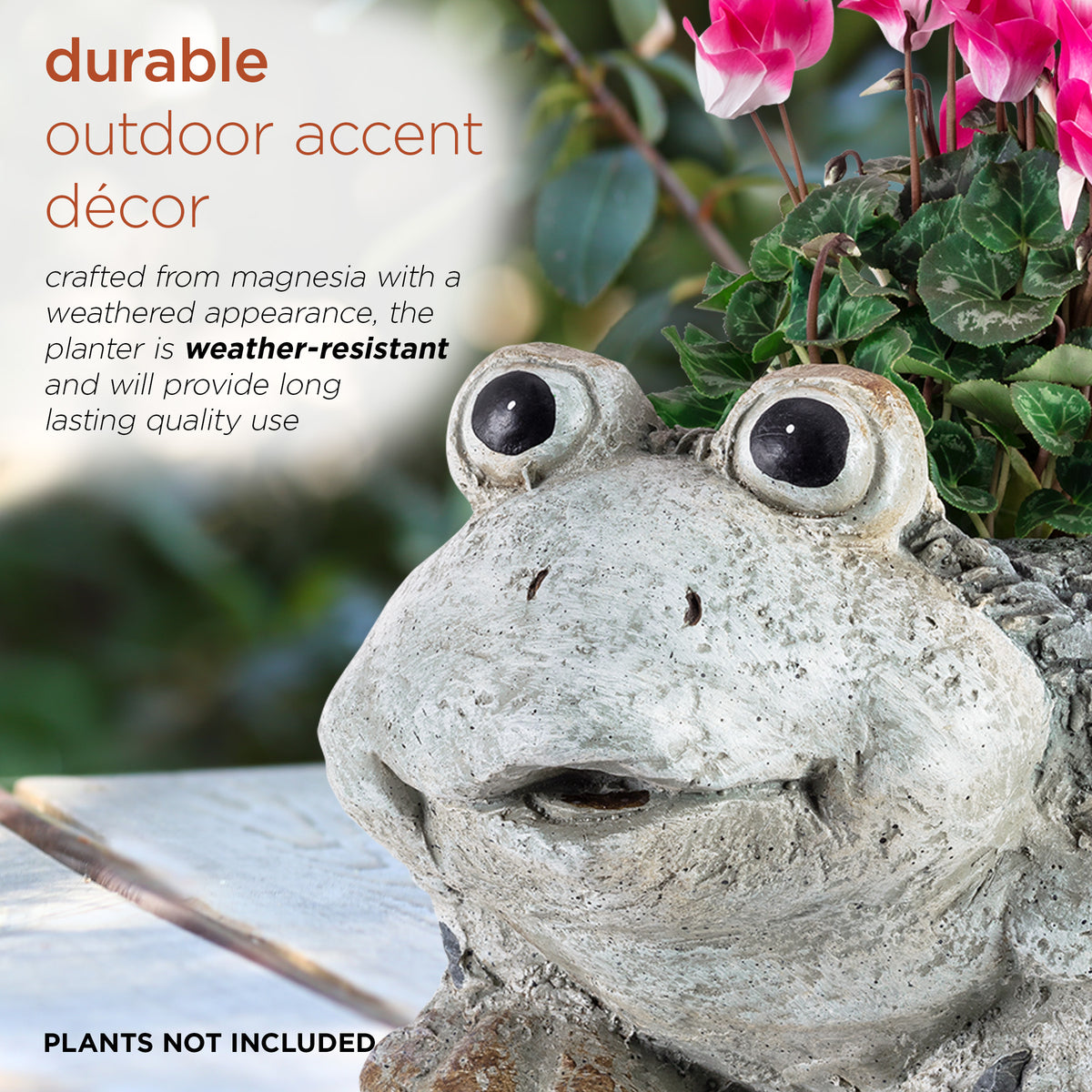Ceramic Frog Planter, Gray Y589835
