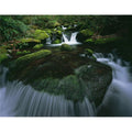 Poster Print - 34 x 26 - Large A800